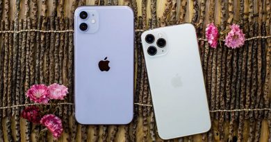 iPhone 11 Pro Max не прошивається після заміни АКБ – що робити?